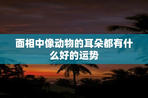 面相中像动物的耳朵都有什么好的运势