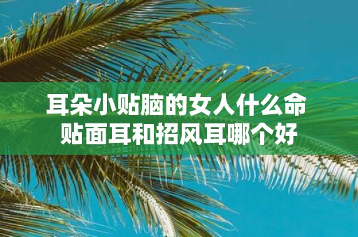 耳朵小贴脑的女人什么命 贴面耳和招风耳哪个好