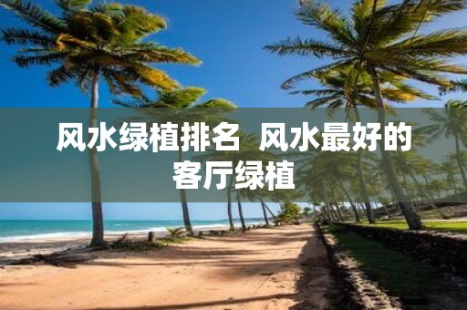 风水绿植排名 风水最好的客厅绿植