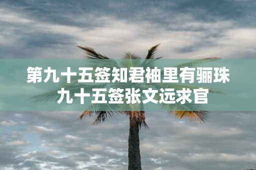第九十五签知君袖里有骊珠 九十五签张文远求官