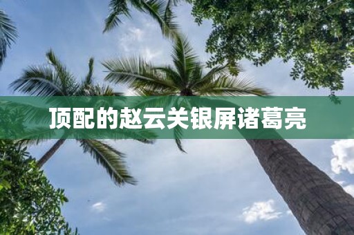 顶配的赵云关银屏诸葛亮