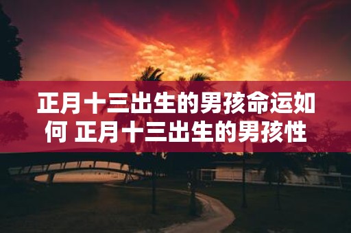 正月十三出生的男孩命运如何 正月十三出生的男孩性格分析