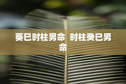 葵巳时柱男命 时柱癸巳男命