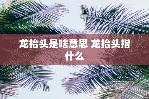 龙抬头是啥意思 龙抬头指什么