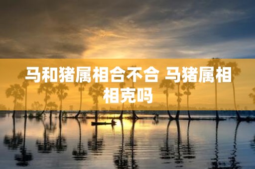 马和猪属相合不合 马猪属相相克吗