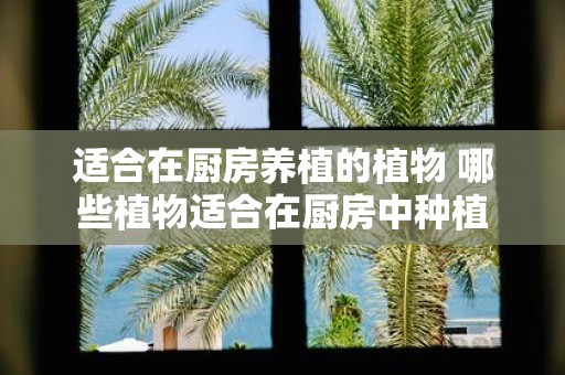 适合在厨房养植的植物 哪些植物适合在厨房中种植