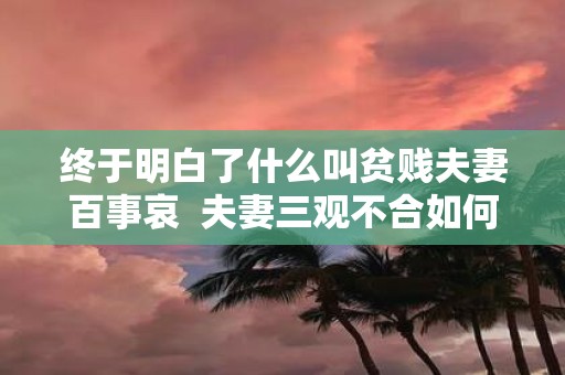 终于明白了什么叫贫贱夫妻百事哀 夫妻三观不合如何解决