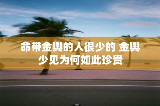命带金舆的人很少的 金舆少见为何如此珍贵