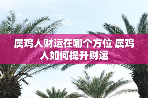 属鸡人财运在哪个方位 属鸡人如何提升财运