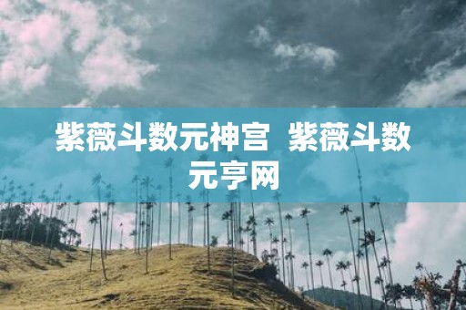 紫薇斗数元神宫 紫薇斗数元亨网