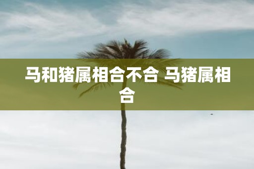 马和猪属相合不合 马猪属相合