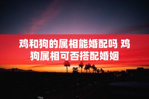 鸡和狗的属相能婚配吗 鸡狗属相可否搭配婚姻