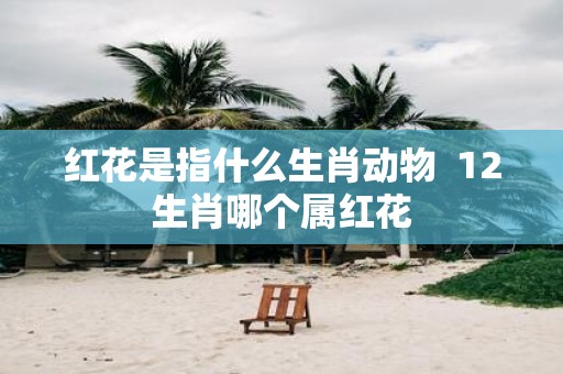 红花是指什么生肖动物 12生肖哪个属红花