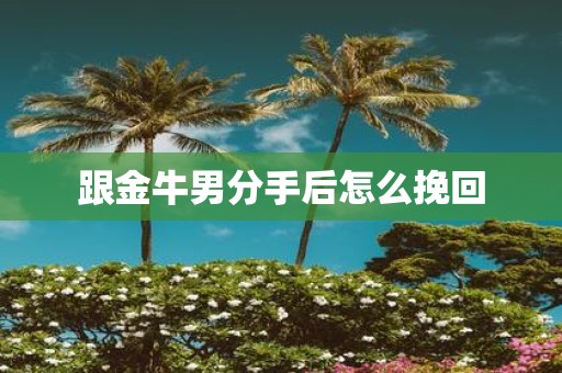 跟金牛男分手后怎么挽回