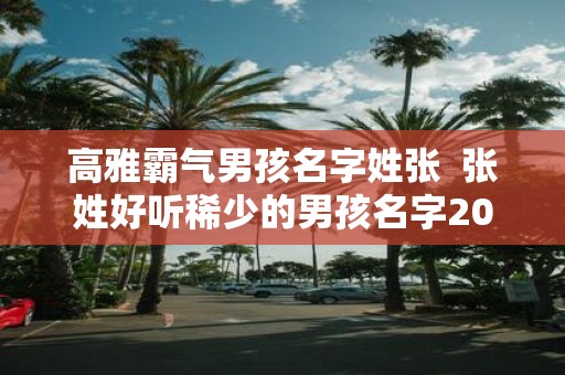 高雅霸气男孩名字姓张 张姓好听稀少的男孩名字2025