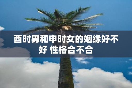 酉时男和申时女的姻缘好不好 性格合不合