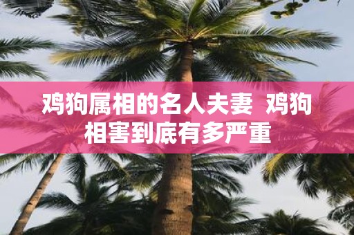 鸡狗属相的名人夫妻 鸡狗相害到底有多严重