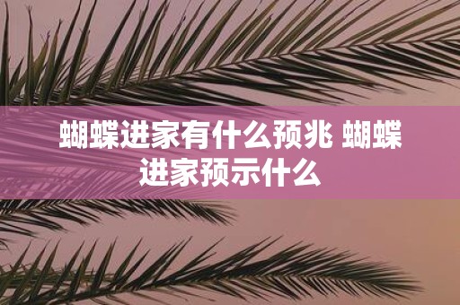蝴蝶进家有什么预兆 蝴蝶进家预示什么