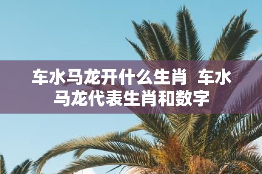 车水马龙开什么生肖 车水马龙代表生肖和数字