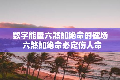 数字能量六煞加绝命的磁场 六煞加绝命必定伤人命