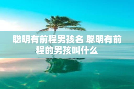聪明有前程男孩名 聪明有前程的男孩叫什么