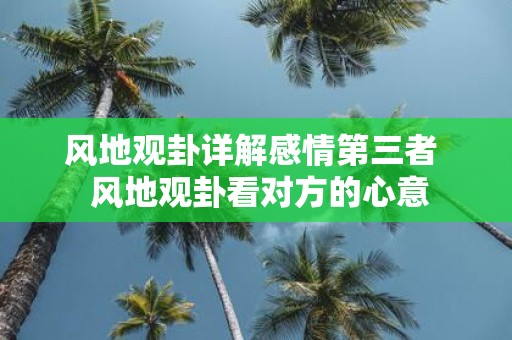 风地观卦详解感情第三者 风地观卦看对方的心意