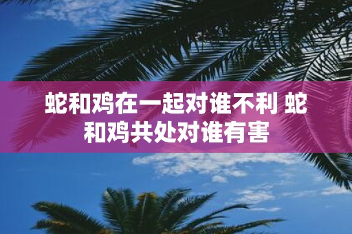 蛇和鸡在一起对谁不利 蛇和鸡共处对谁有害