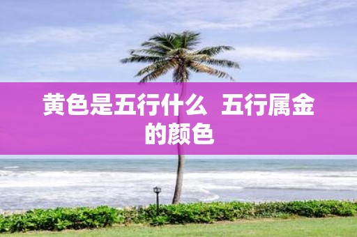 黄色是五行什么 五行属金的颜色