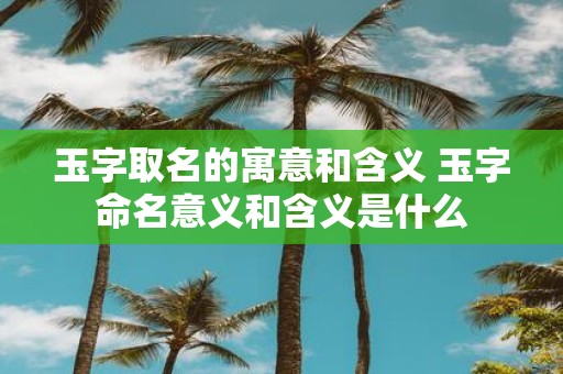 玉字取名的寓意和含义 玉字命名意义和含义是什么