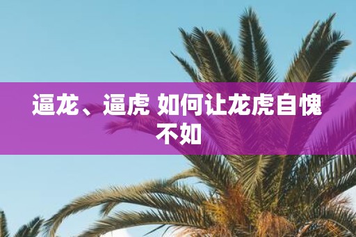 逼龙、逼虎 如何让龙虎自愧不如