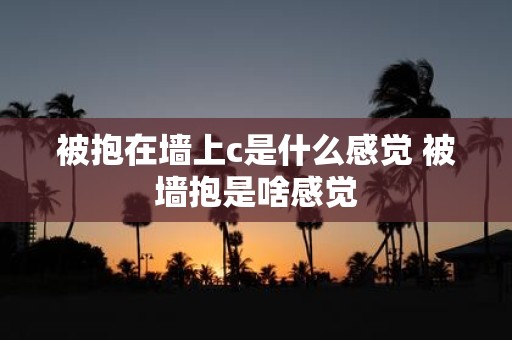 被抱在墙上c是什么感觉 被墙抱是啥感觉