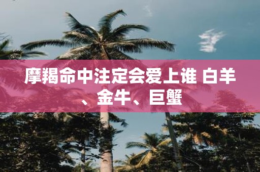 摩羯命中注定会爱上谁 白羊、金牛、巨蟹
