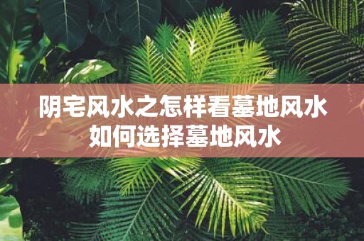 阴宅风水之怎样看墓地风水 如何选择墓地风水