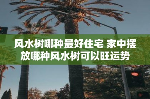 风水树哪种最好住宅 家中摆放哪种风水树可以旺运势
