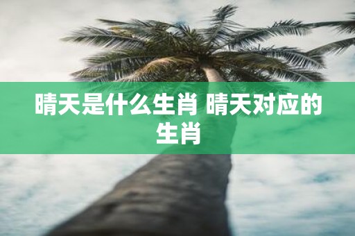 晴天是什么生肖 晴天对应的生肖
