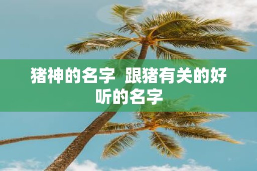猪神的名字 跟猪有关的好听的名字