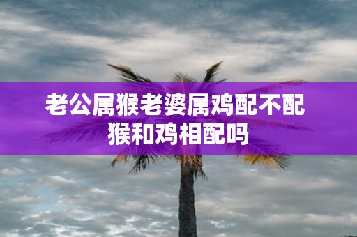 老公属猴老婆属鸡配不配 猴和鸡相配吗