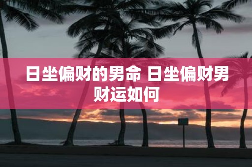 日坐偏财的男命 日坐偏财男财运如何