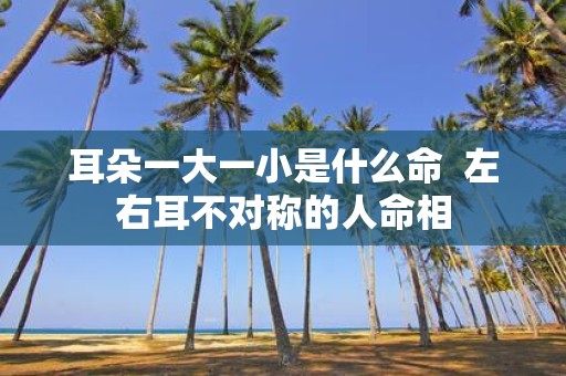 耳朵一大一小是什么命 左右耳不对称的人命相