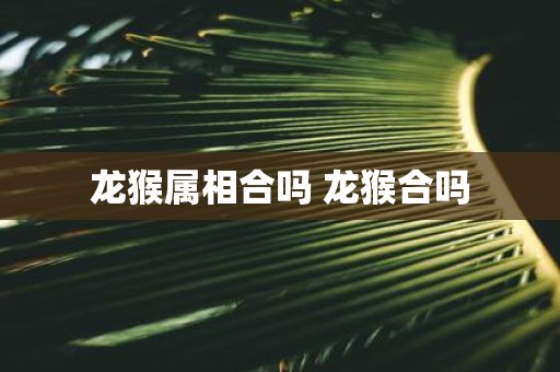 龙猴属相合吗 龙猴合吗