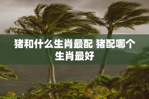 猪和什么生肖最配 猪配哪个生肖最好