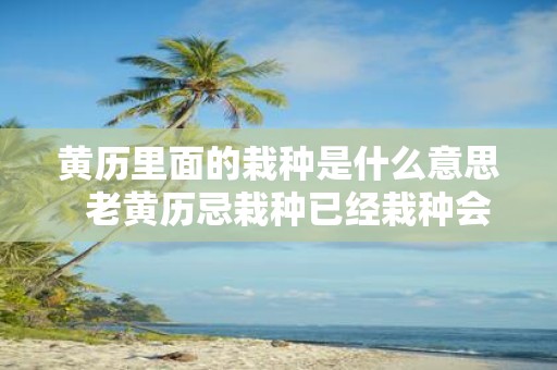 黄历里面的栽种是什么意思 老黄历忌栽种已经栽种会怎样