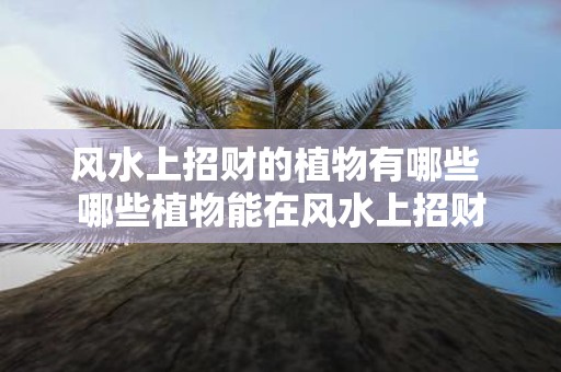 风水上招财的植物有哪些 哪些植物能在风水上招财