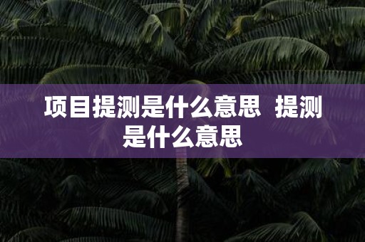 项目提测是什么意思 提测是什么意思