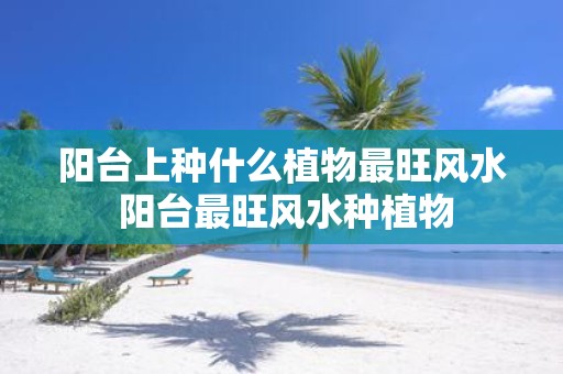 阳台上种什么植物最旺风水 阳台最旺风水种植物