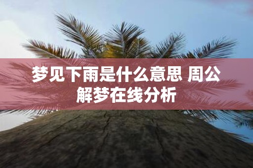 梦见下雨是什么意思 周公解梦在线分析