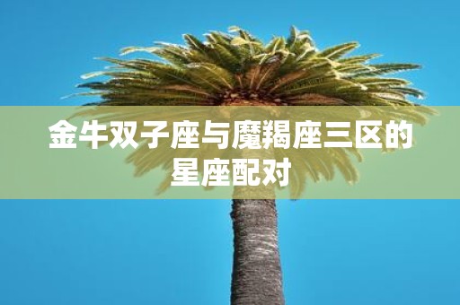 金牛双子座与魔羯座三区的星座配对