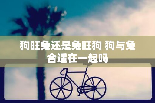 狗旺兔还是兔旺狗 狗与兔合适在一起吗