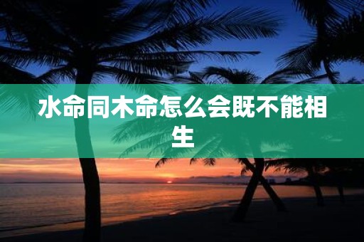 水命同木命怎么会既不能相生