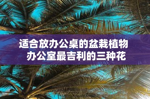 适合放办公桌的盆栽植物 办公室最吉利的三种花